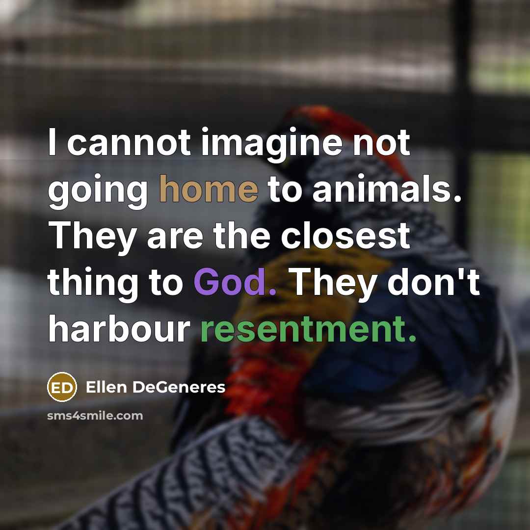 “I cannot imagine not going home to animals. They are the closest thing to God. They don't harbour resentment.” quote by Ellen DeGeneres