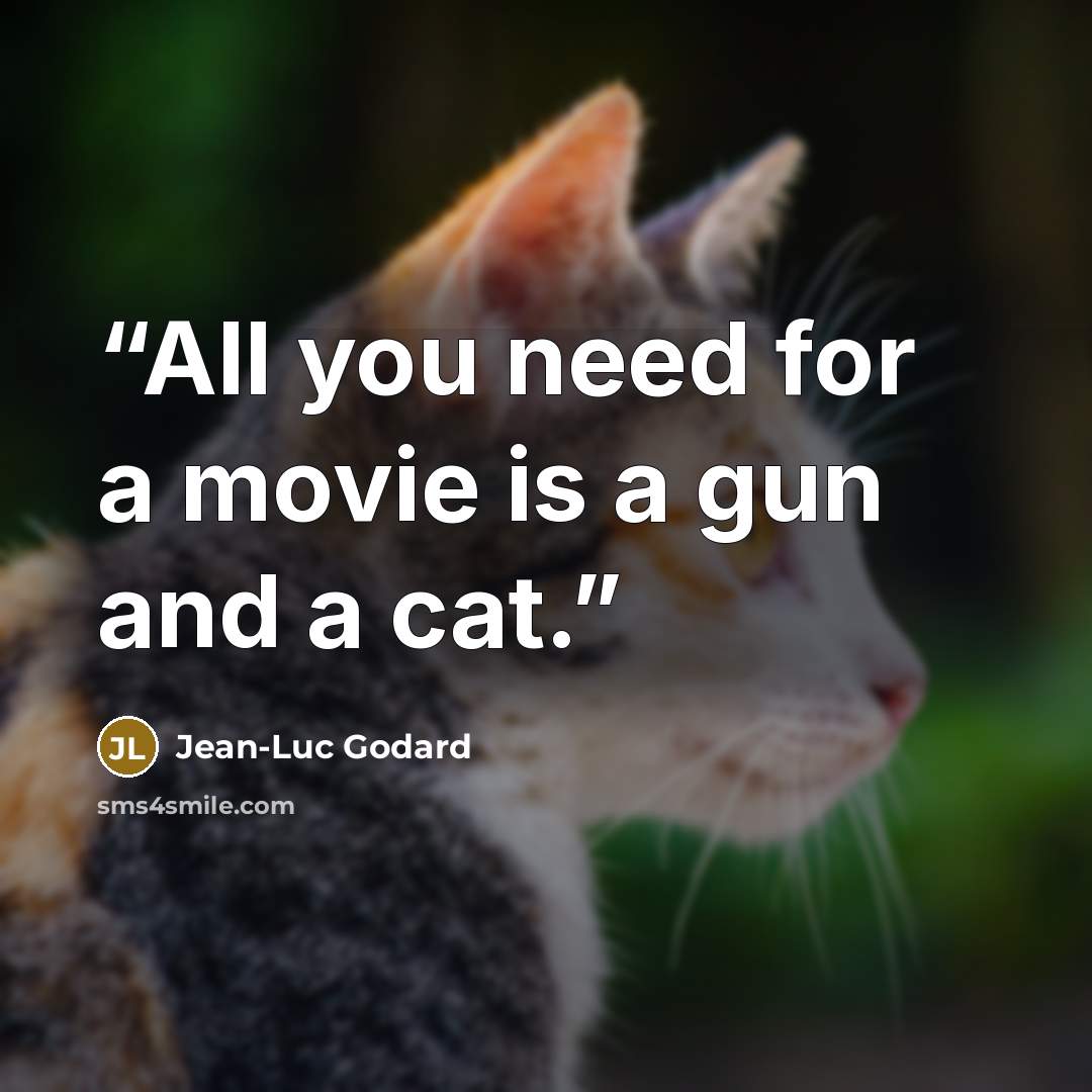 “All you need for a movie is a gun and a cat.” quote by Jean-Luc Godard