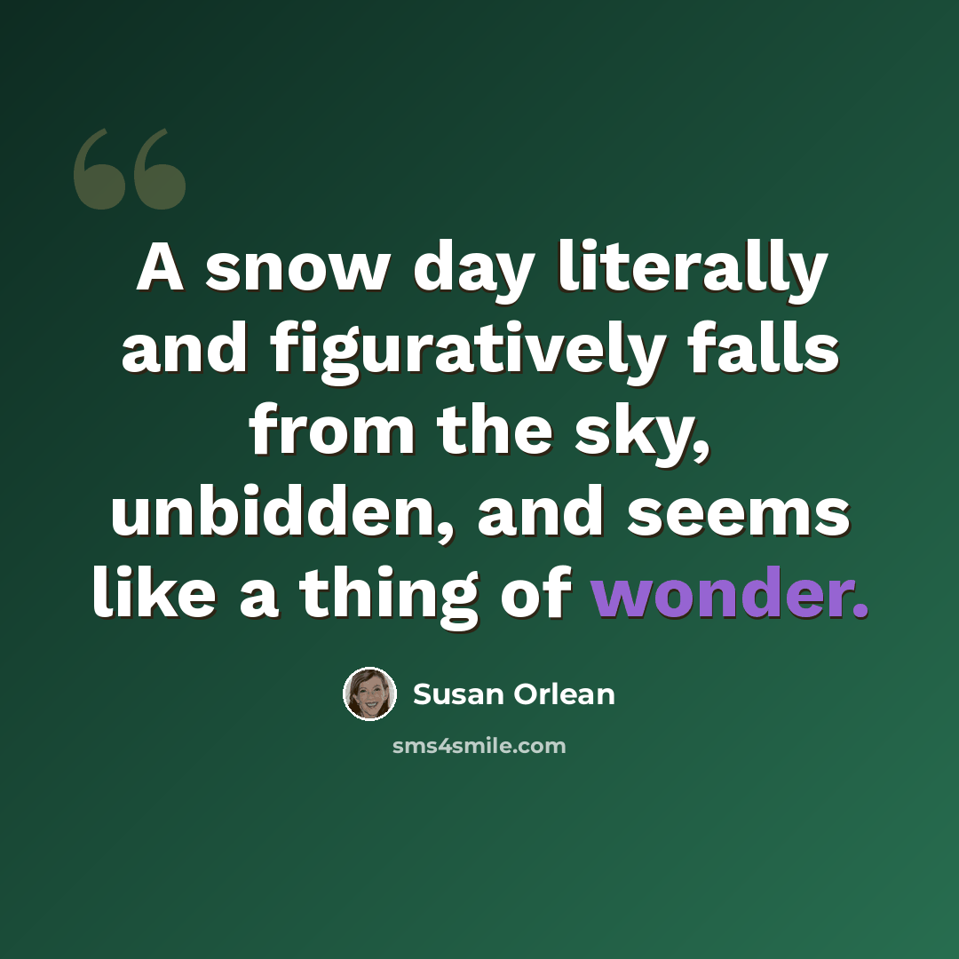 “A snow day literally and figuratively falls from the sky, unbidden, and seems like a thing of wonder.” quote by Susan Orlean