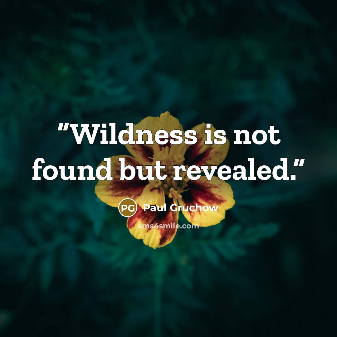 “Wildness is not found but revealed.” quote by Paul Gruchow