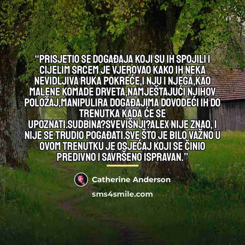 “Prisjetio se događaja koji su ih spojili i cijelim srcem je vjerovao kako ih neka nevidljiva ruka pokreće,i nju i njega,kao malene komade drveta,namještajući njihov položaj,manipulira događajima dovodeći ih do trenutka kada će se upoznati.Sudbina?Svevišnji?Alex nije znao, i nije se trudio…” quote by Catherine Anderson