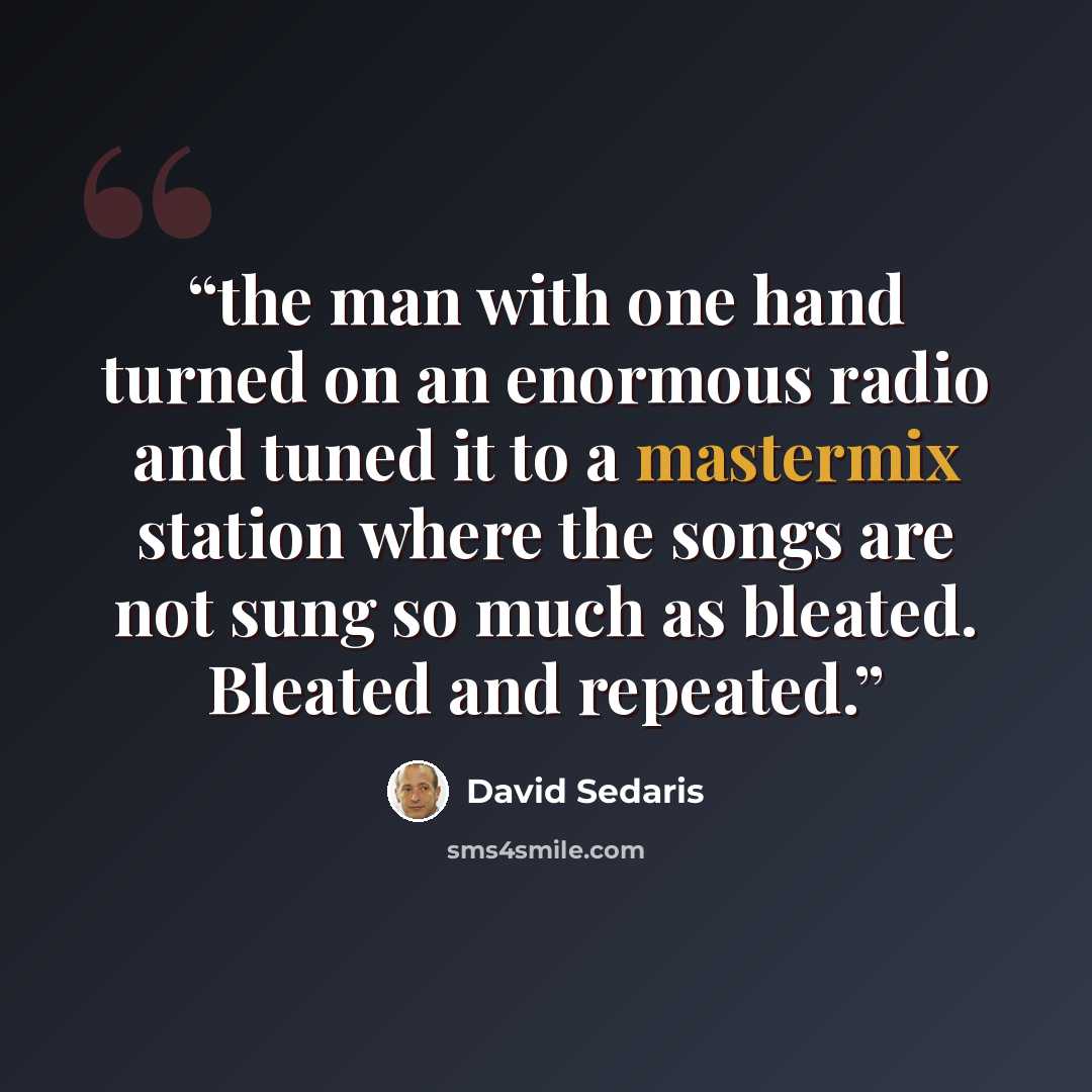 “the man with one hand turned on an enormous radio and tuned it to a mastermix station where the songs are not sung so much as bleated. Bleated and repeated.” quote by David Sedaris