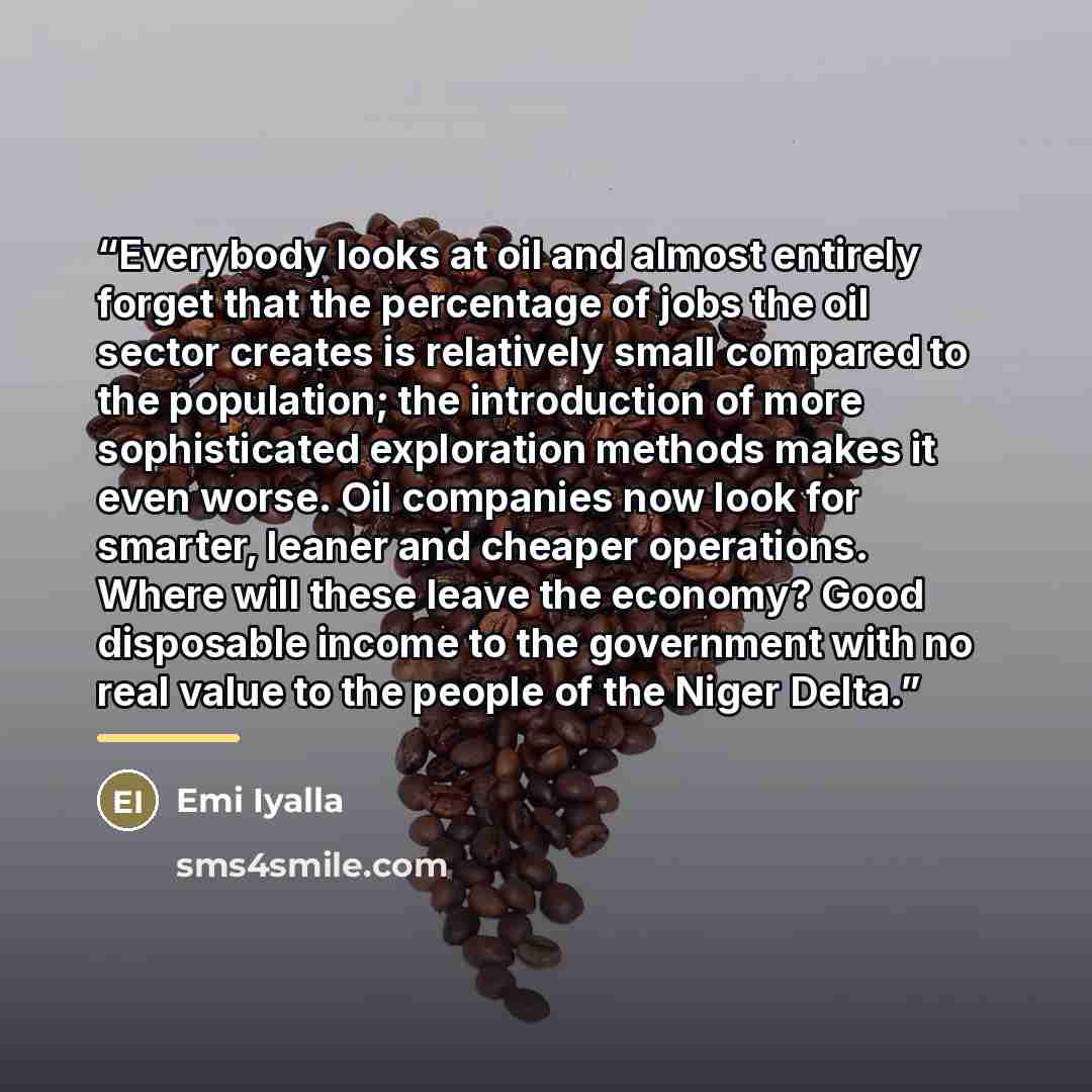“Everybody looks at oil and almost entirely forget that the percentage of jobs the oil sector creates is relatively small compared to the population; the introduction of more sophisticated exploration methods makes it even worse. Oil companies now look for smarter, leaner and cheaper operations…” quote by Emi Iyalla