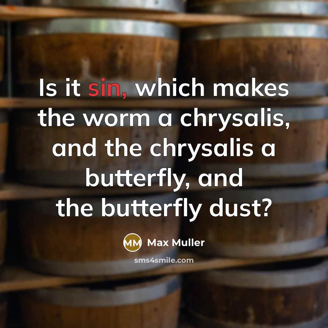 “Is it sin, which makes the worm a chrysalis, and the chrysalis a butterfly, and the butterfly dust?” quote by Max Muller