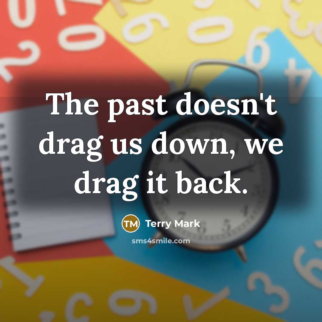 “The past doesn't drag us down, we drag it back.” quote by Terry Mark