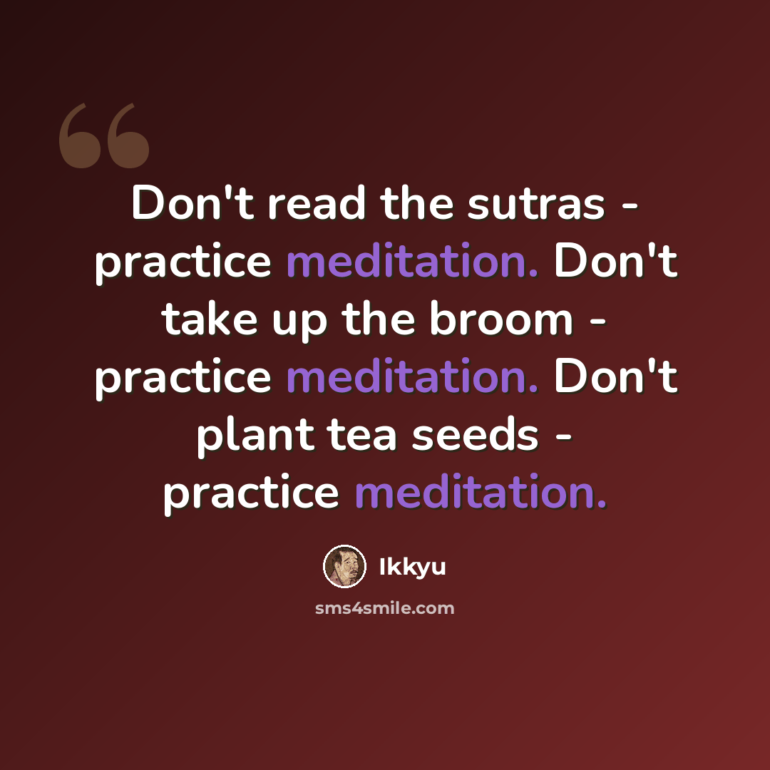 “Don't read the sutras - practice meditation. Don't take up the broom - practice meditation. Don't plant tea seeds - practice meditation.” quote by Ikkyu