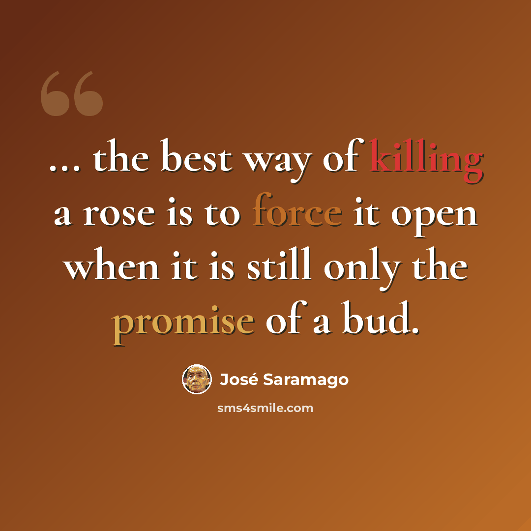 “... the best way of killing a rose is to force it open when it is still only the promise of a bud.” quote by Jose Saramago