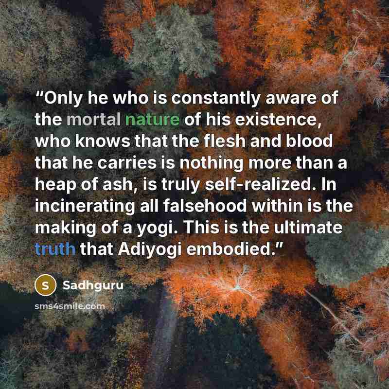 “Only he who is constantly aware of the mortal nature of his existence, who knows that the flesh and blood that he carries is nothing more than a heap of ash, is truly self-realized. In incinerating all falsehood within is the making of a yogi. This is the ultimate truth that Adiyogi embodied.” quote by Sadhguru