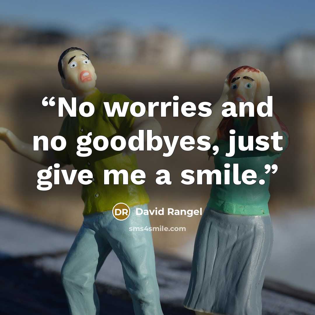 “No worries and no goodbyes, just give me a smile.” quote by David Rangel