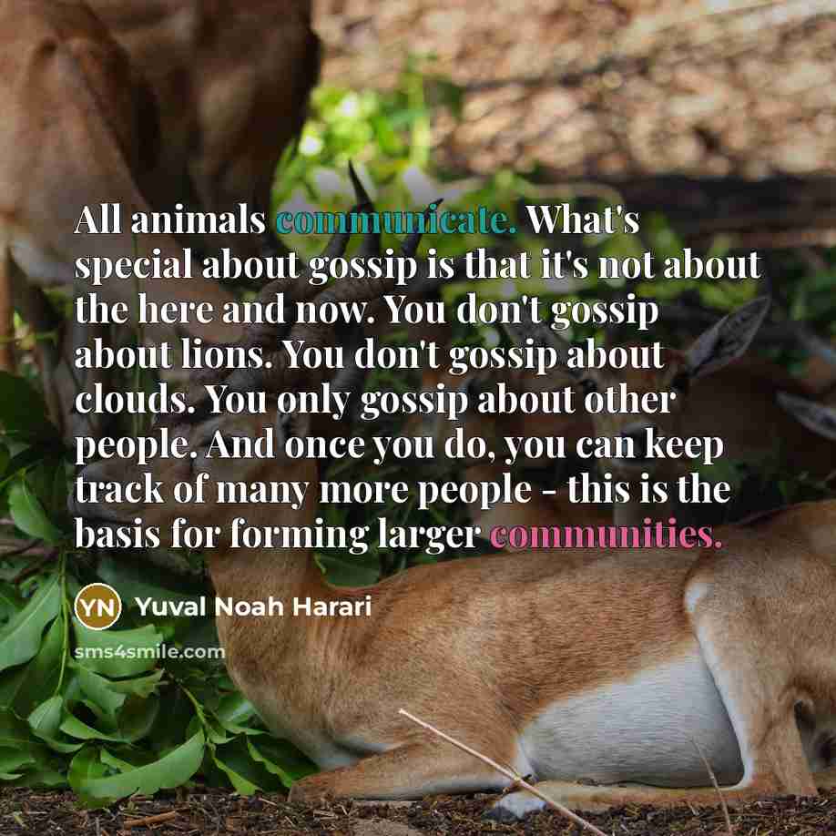 “All animals communicate. What's special about gossip is that it's not about the here and now. You don't gossip about lions. You don't gossip about clouds. You only gossip about other people. And once you do, you can keep track of many more people - this is the basis for forming larger communities.” quote by Yuval Noah Harari