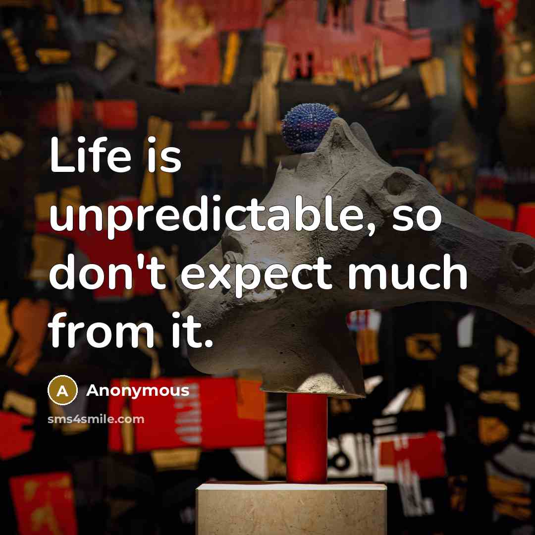 “Life is unpredictable, so don't expect much from it.” quote by Anonymous