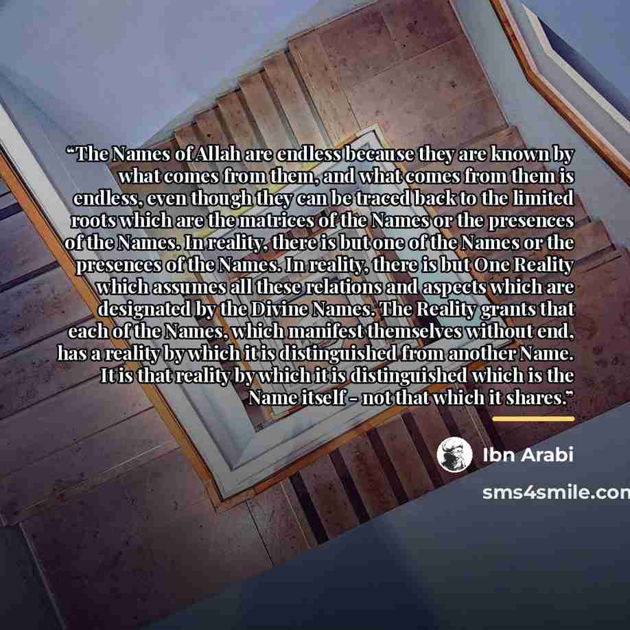 “The Names of Allah are endless because they are known by what comes from them, and what comes from them is endless, even though they can be traced back to the limited roots which are the matrices of the Names or the presences of the Names. In reality, there is but one of the Names or the presences…” quote by Ibn Arabi