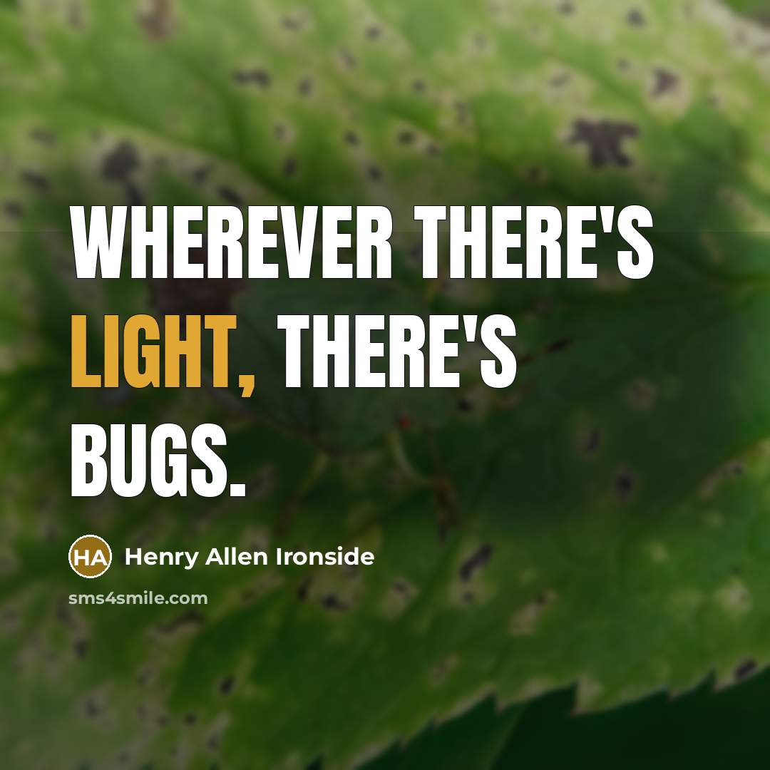 “Wherever there's light, there's bugs.” quote by Henry Allen Ironside