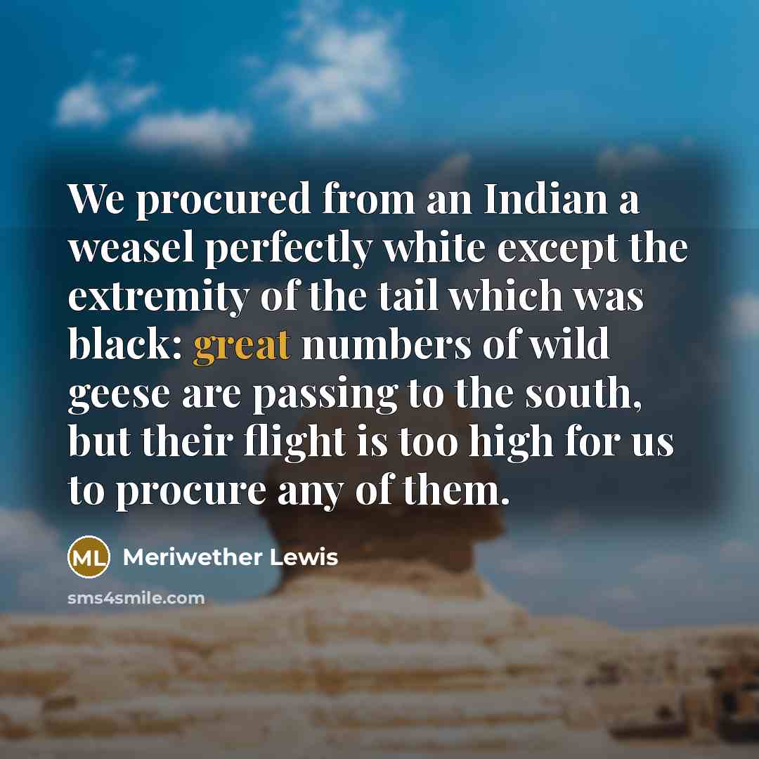 “We procured from an Indian a weasel perfectly white except the extremity of the tail which was black: great numbers of wild geese are passing to the south, but their flight is too high for us to procure any of them.” quote by Meriwether Lewis