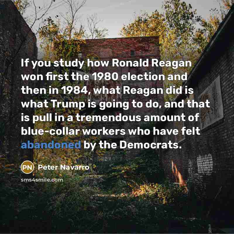 “If you study how Ronald Reagan won first the 1980 election and then in 1984, what Reagan did is what Trump is going to do, and that is pull in a tremendous amount of blue-collar workers who have felt abandoned by the Democrats.” quote by Peter Navarro