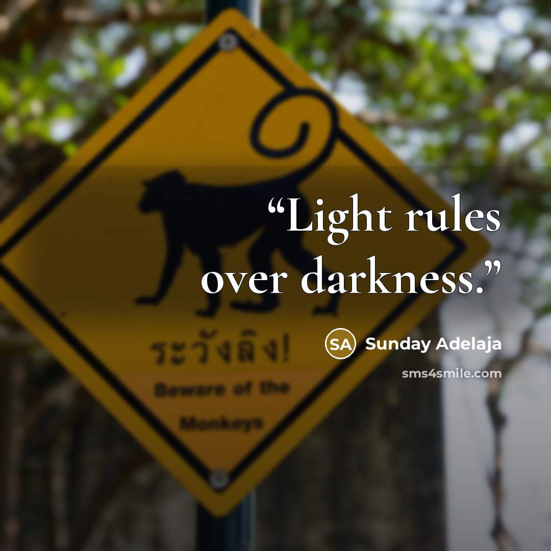 “Light rules over darkness.” quote by Sunday Adelaja