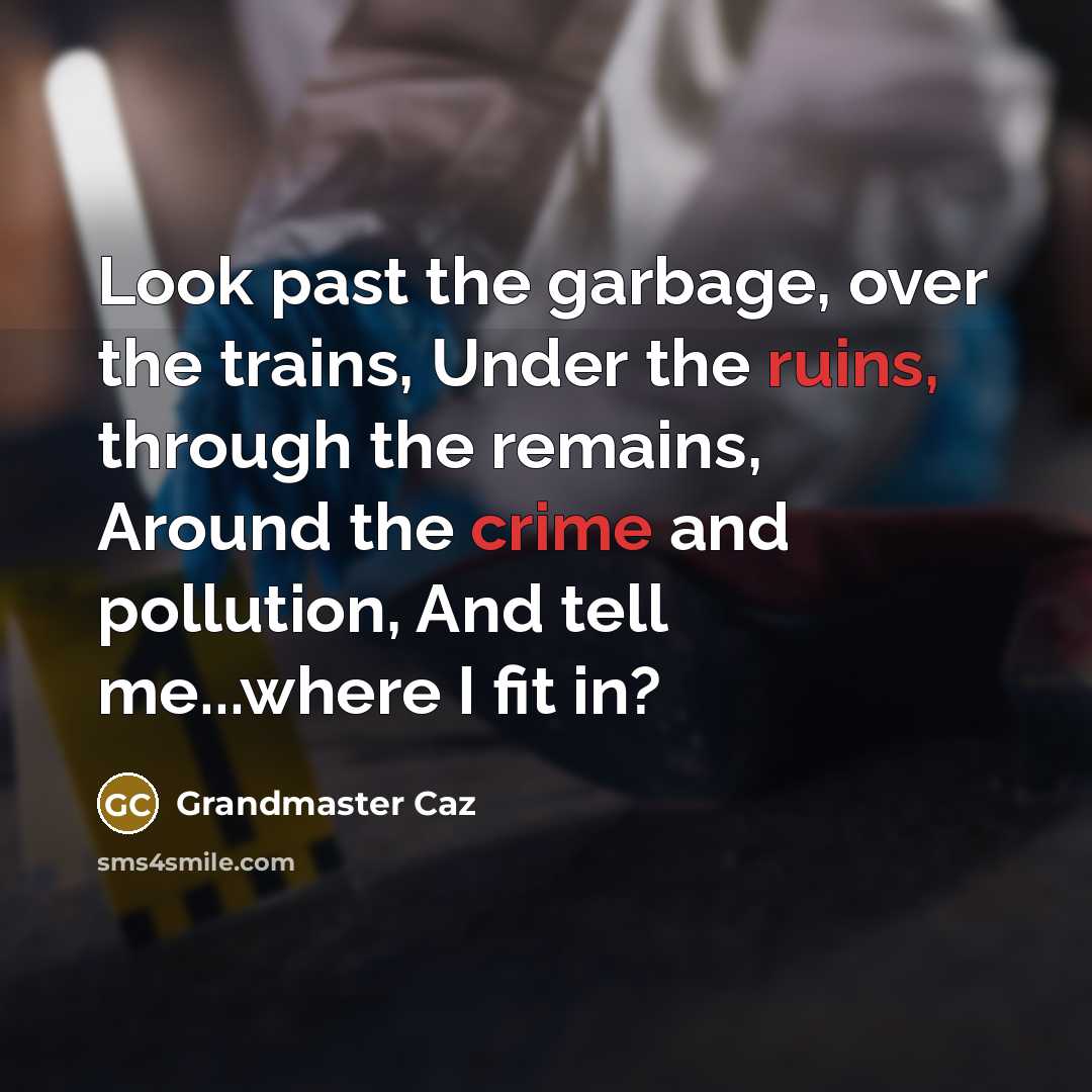 “Look past the garbage, over the trains, Under the ruins, through the remains, Around the crime and pollution, And tell me...where I fit in?” quote by Grandmaster Caz