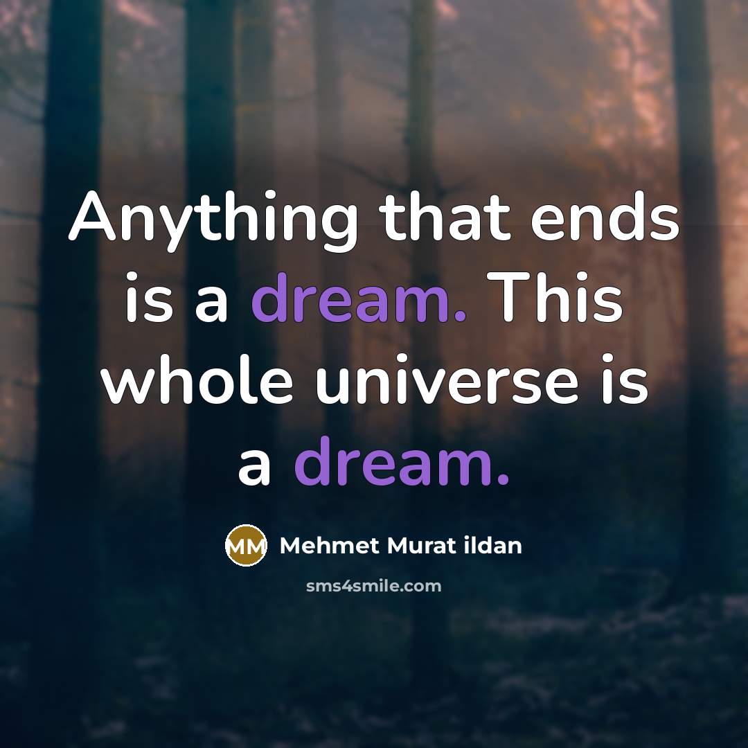 “Anything that ends is a dream. This whole universe is a dream.” quote by Mehmet Murat Ildan