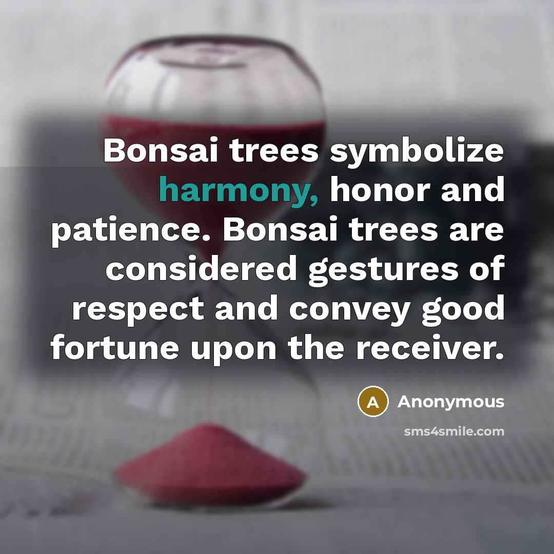 “Bonsai trees symbolize harmony, honor and patience. Bonsai trees are considered gestures of respect and convey good fortune upon the receiver.” quote by Anonymous