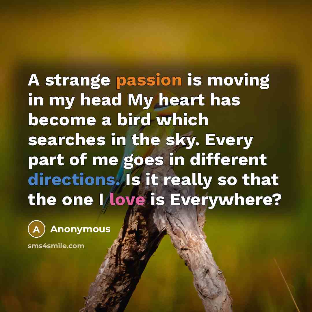 “A strange passion is moving in my head My heart has become a bird which searches in the sky. Every part of me goes in different directions. Is it really so that the one I love is Everywhere?” quote by Anonymous