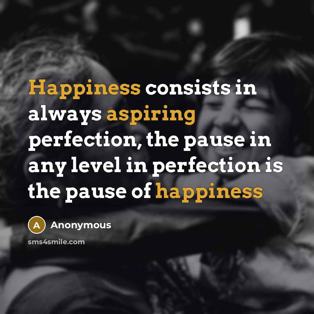 “Happiness consists in always aspiring perfection, the pause in any level in perfection is the pause of happiness” quote by Anonymous