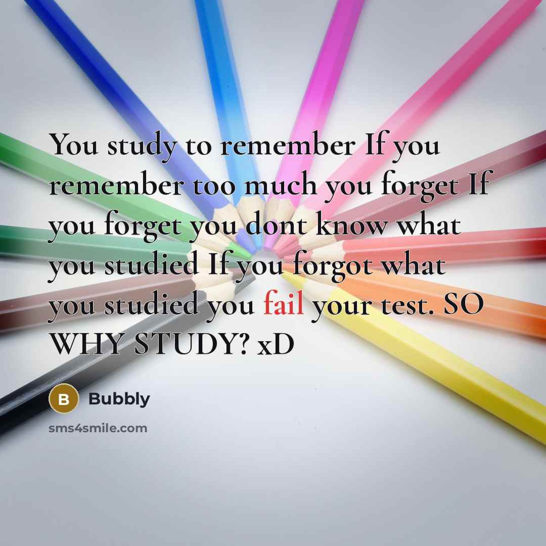 “You study to remember If you remember too much you forget If you forget you dont know what you studied If you forgot what you studied you fail your test. SO WHY STUDY? xD” quote by Bubbly