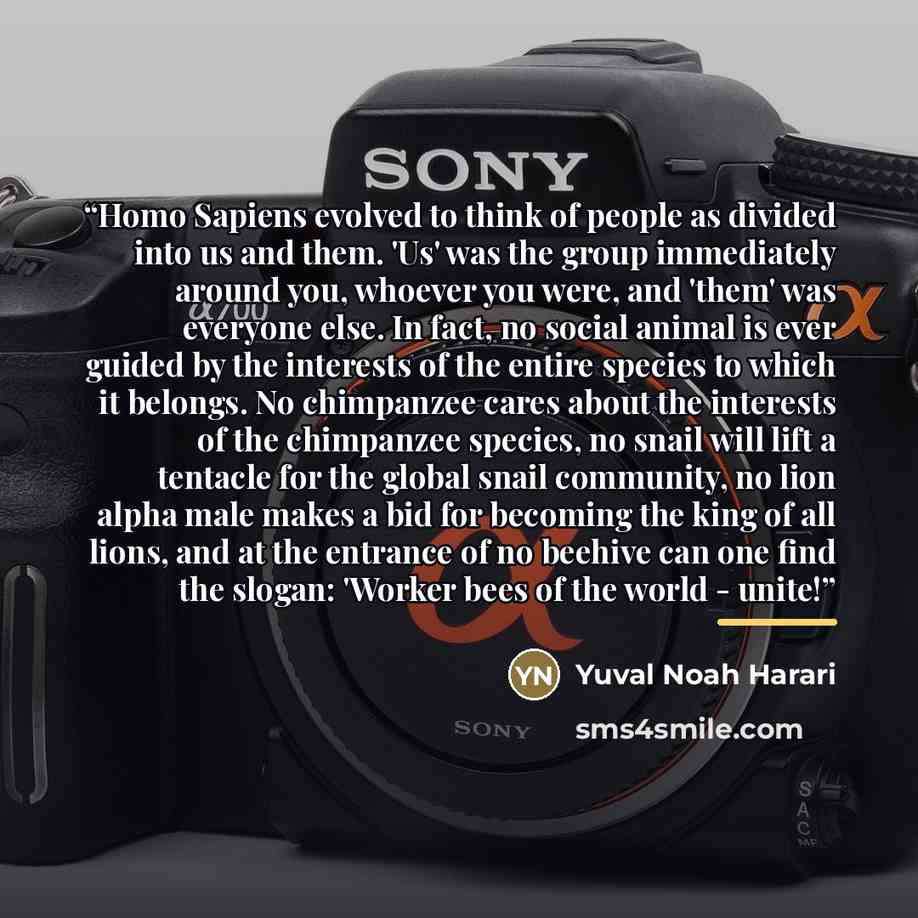 “Homo Sapiens evolved to think of people as divided into us and them. 'Us' was the group immediately around you, whoever you were, and 'them' was everyone else. In fact, no social animal is ever guided by the interests of the entire species to which it belongs. No chimpanzee cares about the…” quote by Yuval Noah Harari