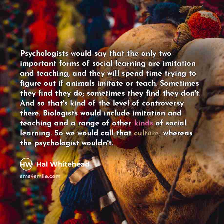 “Psychologists would say that the only two important forms of social learning are imitation and teaching, and they will spend time trying to figure out if animals imitate or teach. Sometimes they find they do; sometimes they find they don't. And so that's kind of the level of controversy there…” quote by Hal Whitehead