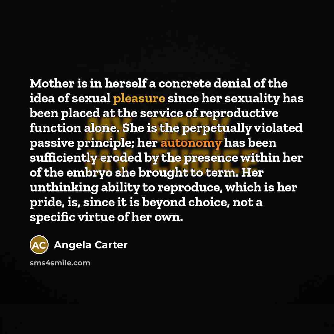 “Mother is in herself a concrete denial of the idea of sexual pleasure since her sexuality has been placed at the service of reproductive function alone. She is the perpetually violated passive principle; her autonomy has been sufficiently eroded by the presence within her of the embryo she brought…” quote by Angela Carter