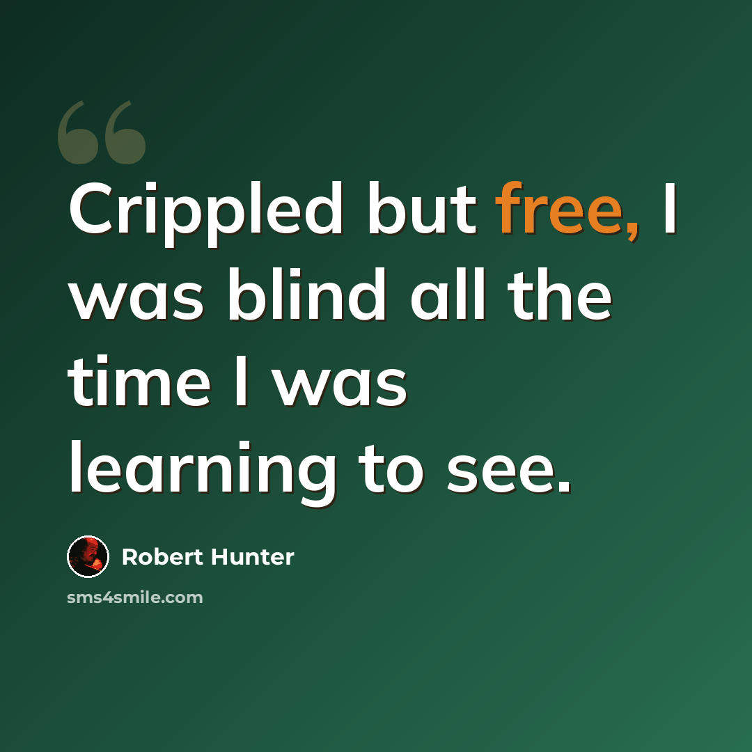 “Crippled but free, I was blind all the time I was learning to see.” quote by Robert Hunter