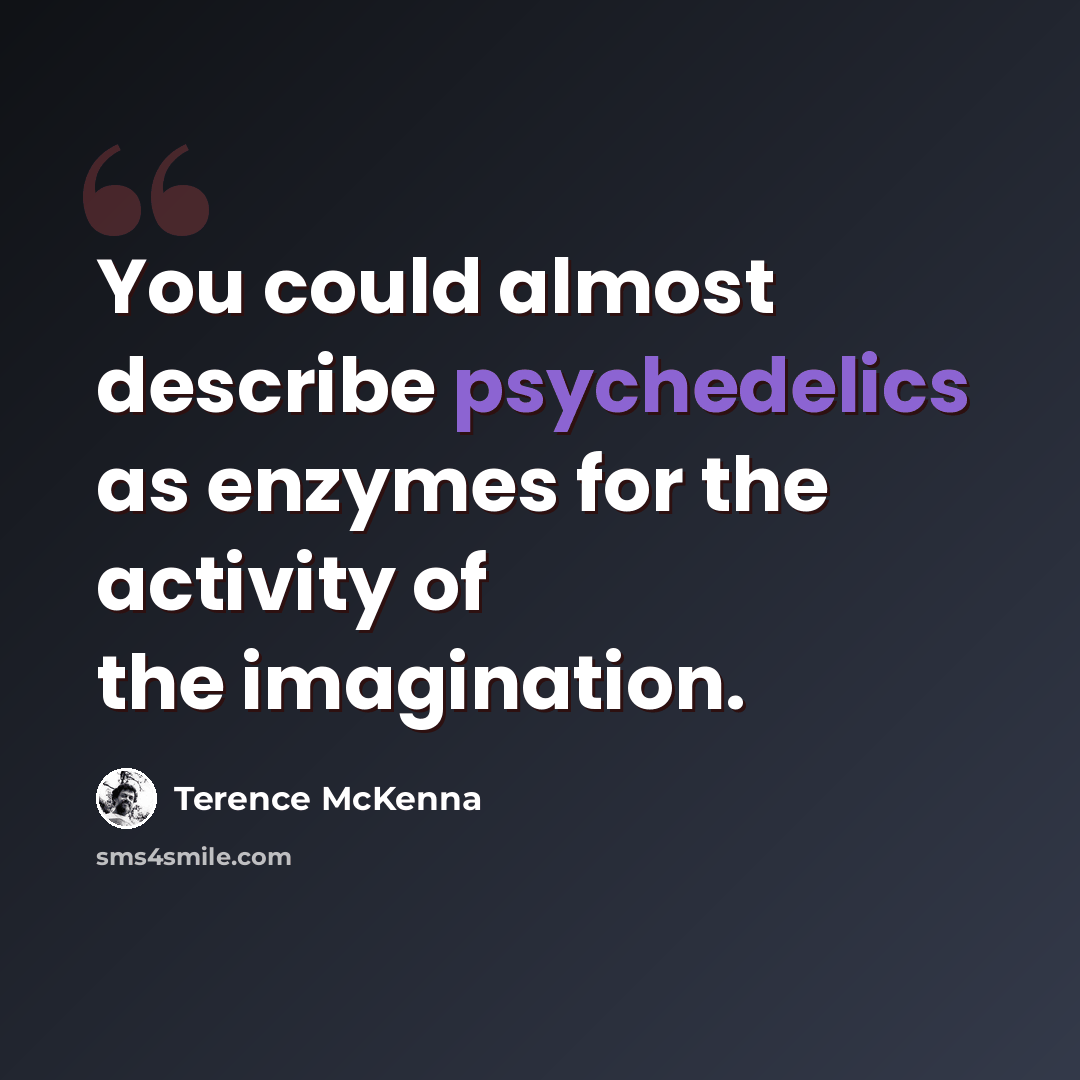 “You could almost describe psychedelics as enzymes for the activity of the imagination.” quote by Terence McKenna
