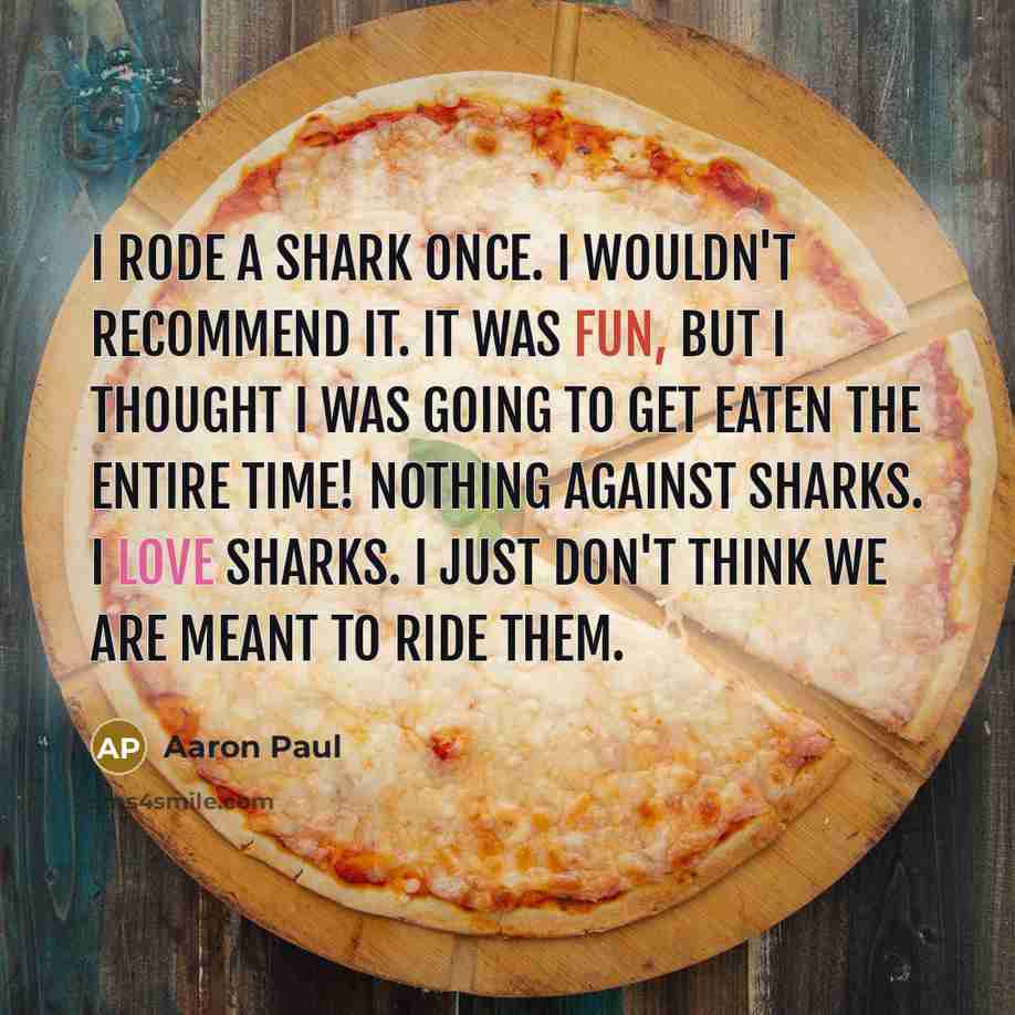 “I rode a shark once. I wouldn't recommend it. It was fun, but I thought I was going to get eaten the entire time! Nothing against sharks. I love sharks. I just don't think we are meant to ride them.” quote by Aaron Paul