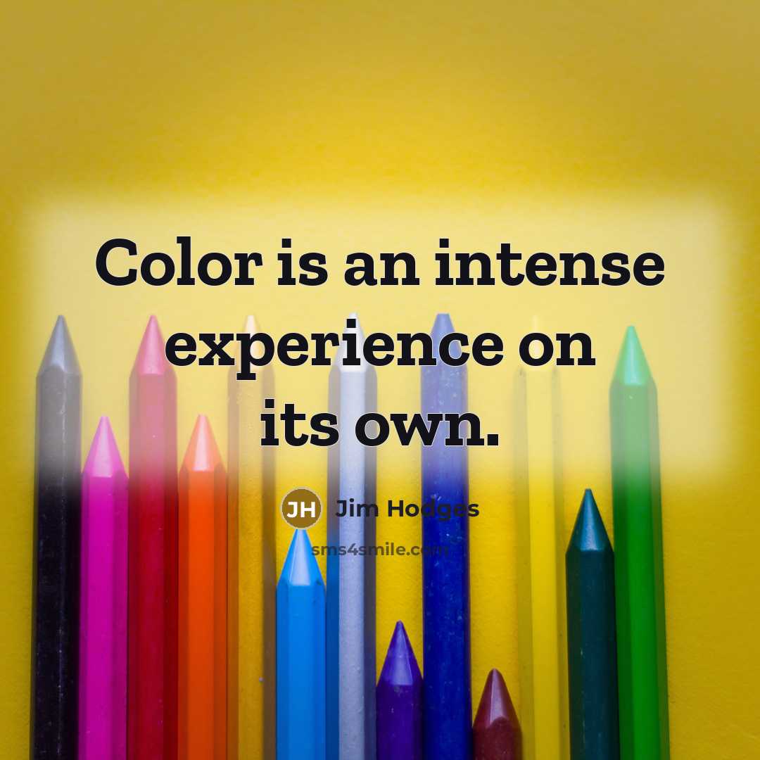 “Color is an intense experience on its own.” quote by Jim Hodges