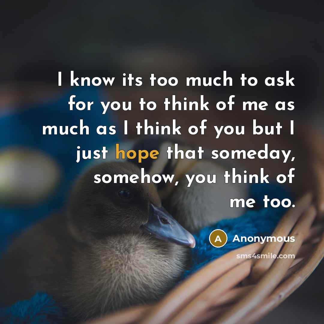“I know its too much to ask for you to think of me as much as I think of you but I just hope that someday, somehow, you think of me too.” quote by Anonymous