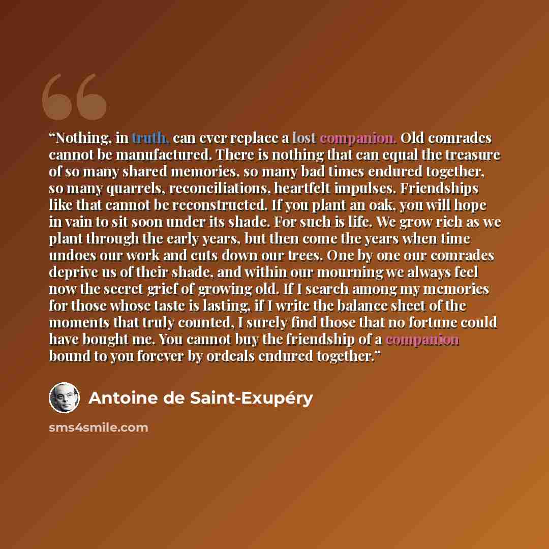 “Nothing, in truth, can ever replace a lost companion. Old comrades cannot be manufactured. There is nothing that can equal the treasure of so many shared memories, so many bad times endured together, so many quarrels, reconciliations, heartfelt impulses. Friendships like that cannot be…” quote by Antoine de Saint-Exupéry