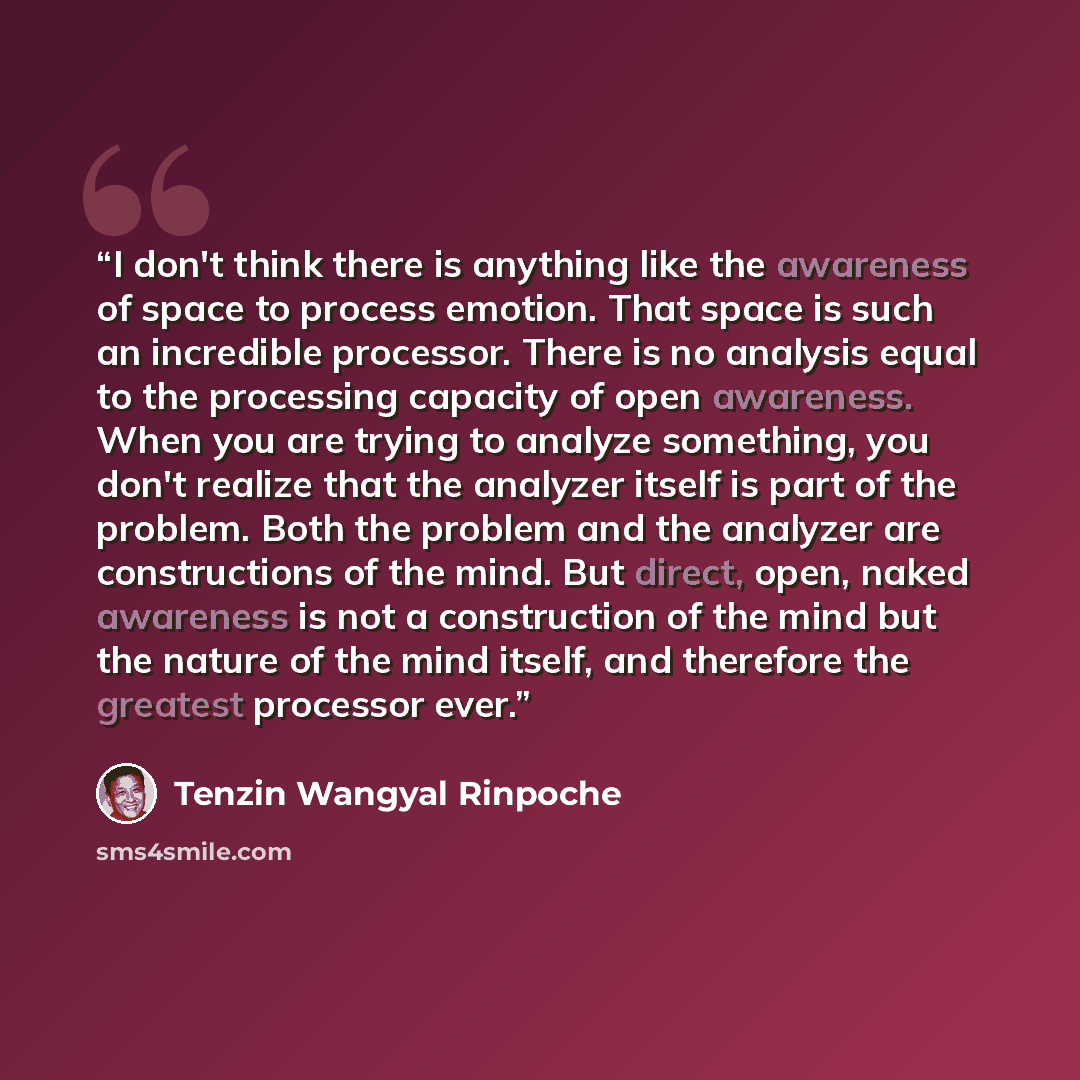 “I don't think there is anything like the awareness of space to process emotion. That space is such an incredible processor. There is no analysis equal to the processing capacity of open awareness. When you are trying to analyze something, you don't realize that the analyzer itself is part of the…” quote by Tenzin Wangyal Rinpoche
