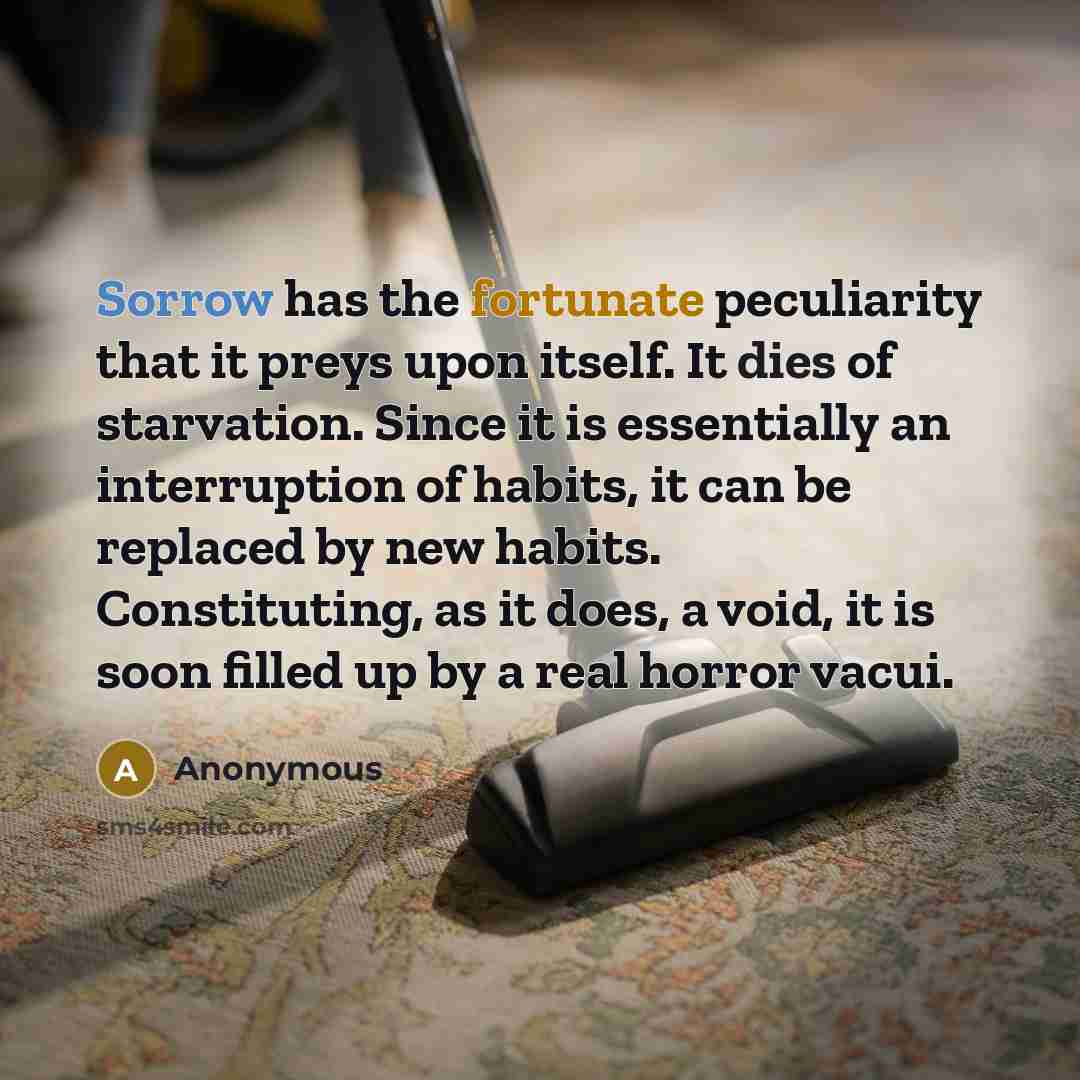 “Sorrow has the fortunate peculiarity that it preys upon itself. It dies of starvation. Since it is essentially an interruption of habits, it can be replaced by new habits. Constituting, as it does, a void, it is soon filled up by a real horror vacui.” quote by Anonymous