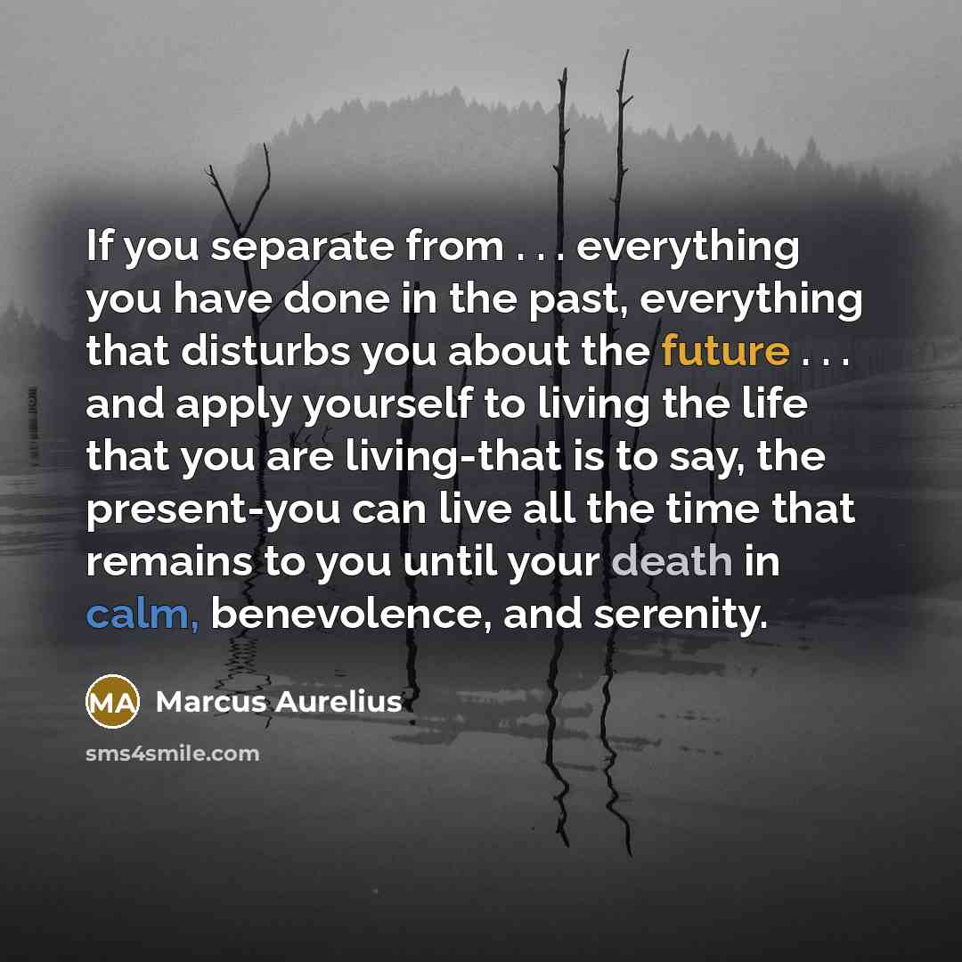 “If you separate from . . . everything you have done in the past, everything that disturbs you about the future . . . and apply yourself to living the life that you are living-that is to say, the present-you can live all the time that remains to you until your death in calm, benevolence, and…” quote by Marcus Aurelius