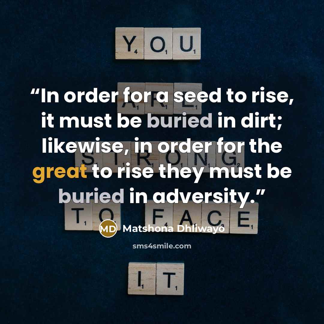“In order for a seed to rise, it must be buried in dirt; likewise, in order for the great to rise they must be buried in adversity.” quote by Matshona Dhliwayo
