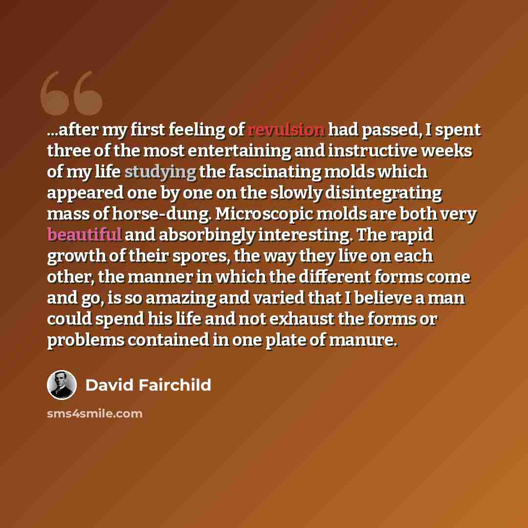 “...after my first feeling of revulsion had passed, I spent three of the most entertaining and instructive weeks of my life studying the fascinating molds which appeared one by one on the slowly disintegrating mass of horse-dung. Microscopic molds are both very beautiful and absorbingly…” quote by David Fairchild