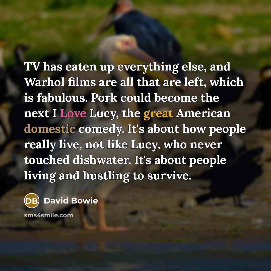 “TV has eaten up everything else, and Warhol films are all that are left, which is fabulous. Pork could become the next I Love Lucy, the great American domestic comedy. It's about how people really live, not like Lucy, who never touched dishwater. It's about people living and hustling to survive.” quote by David Bowie