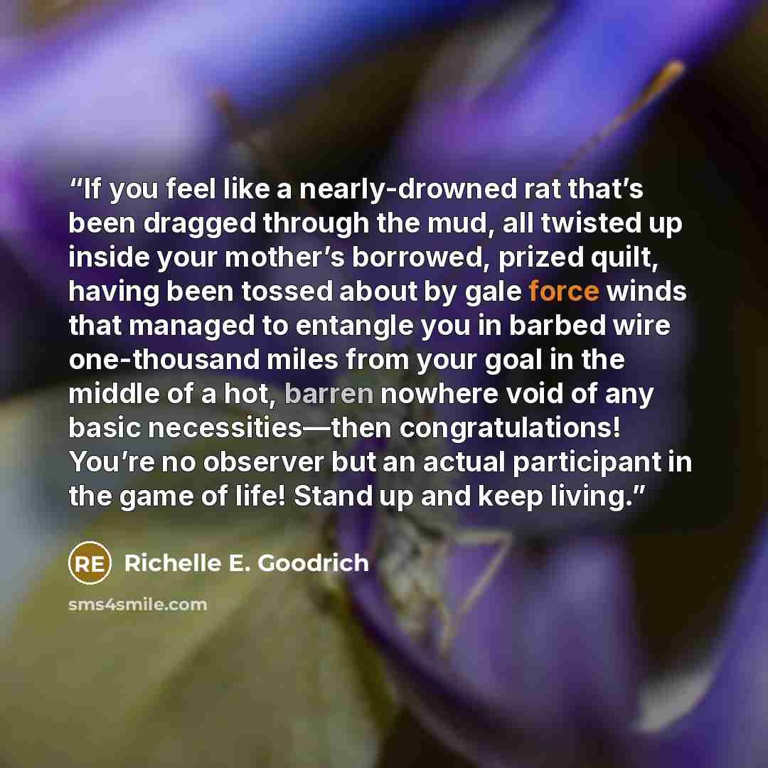 “If you feel like a nearly-drowned rat that’s been dragged through the mud, all twisted up inside your mother’s borrowed, prized quilt, having been tossed about by gale force winds that managed to entangle you in barbed wire one-thousand miles from your goal in the middle of a hot, barren nowhere…” quote by Richelle E. Goodrich