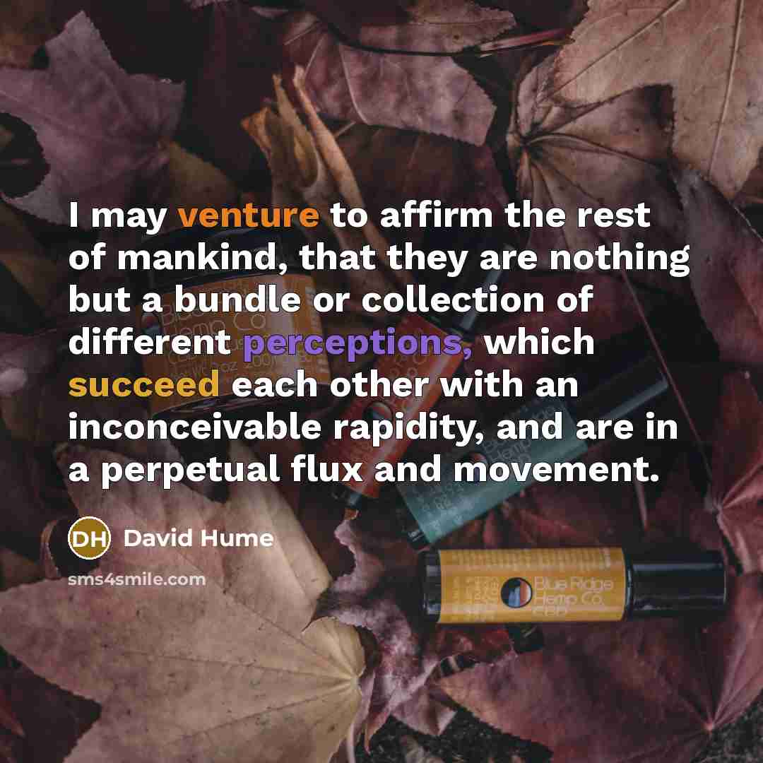 “I may venture to affirm the rest of mankind, that they are nothing but a bundle or collection of different perceptions, which succeed each other with an inconceivable rapidity, and are in a perpetual flux and movement.” quote by David Hume