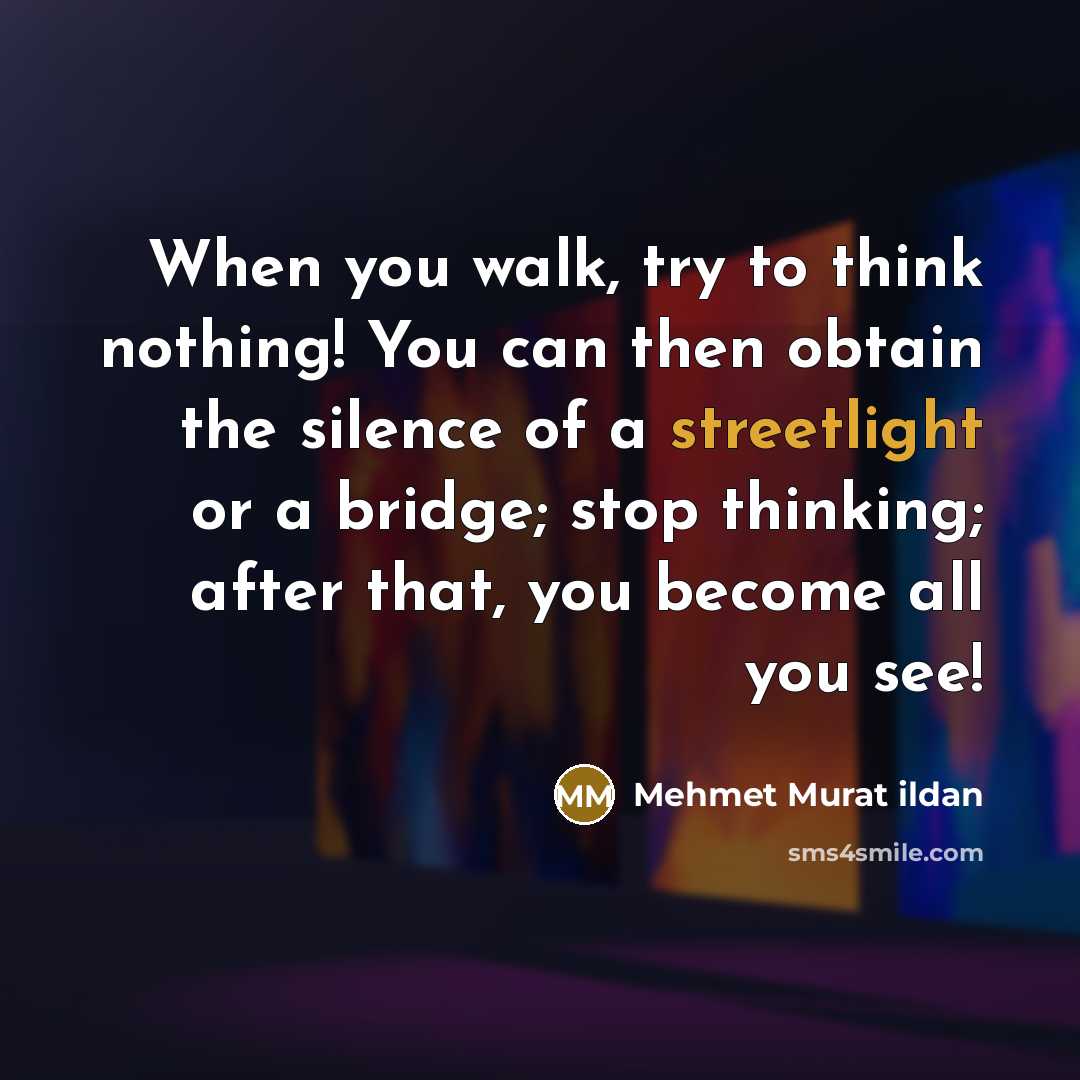 “When you walk, try to think nothing! You can then obtain the silence of a streetlight or a bridge; stop thinking; after that, you become all you see!” quote by Mehmet Murat Ildan
