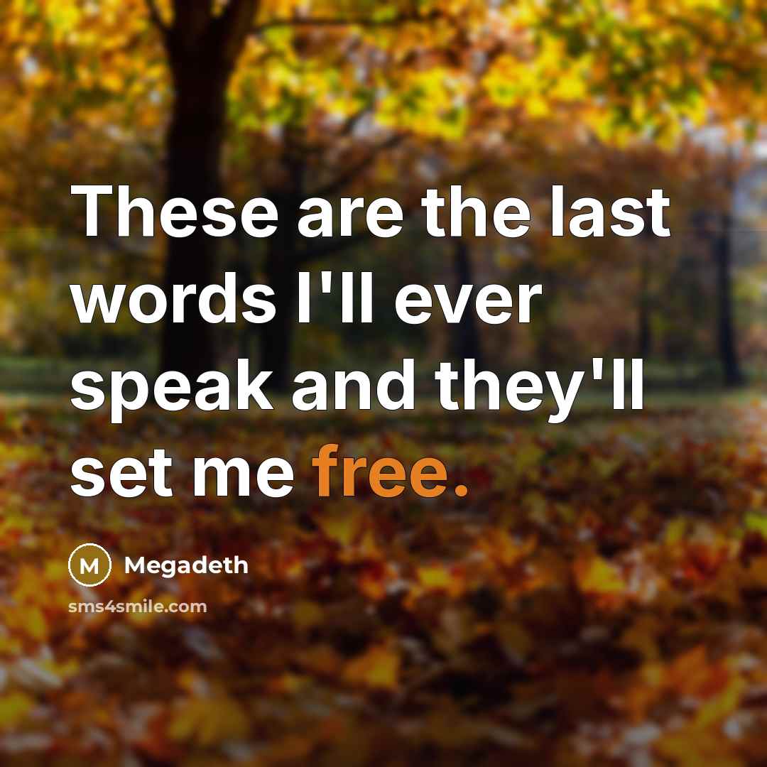 “These are the last words I'll ever speak and they'll set me free.” quote by Megadeth