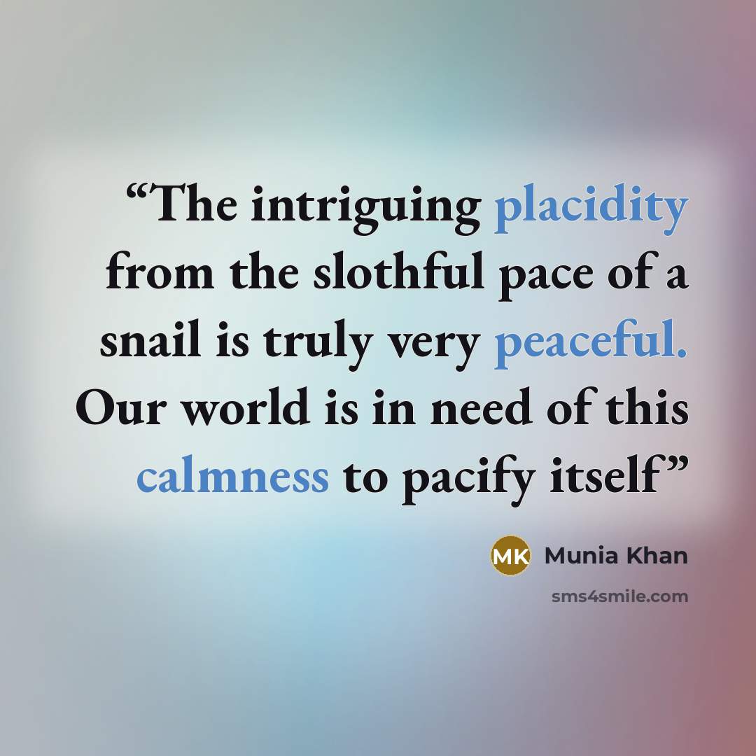 “The intriguing placidity from the slothful pace of a snail is truly very peaceful. Our world is in need of this calmness to pacify itself” quote by Munia Khan
