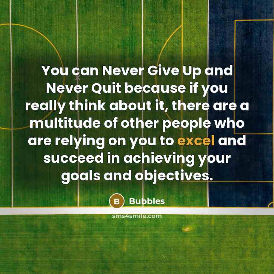 “You can Never Give Up and Never Quit because if you really think about it, there are a multitude of other people who are relying on you to excel and succeed in achieving your goals and objectives.” quote by Bubbles