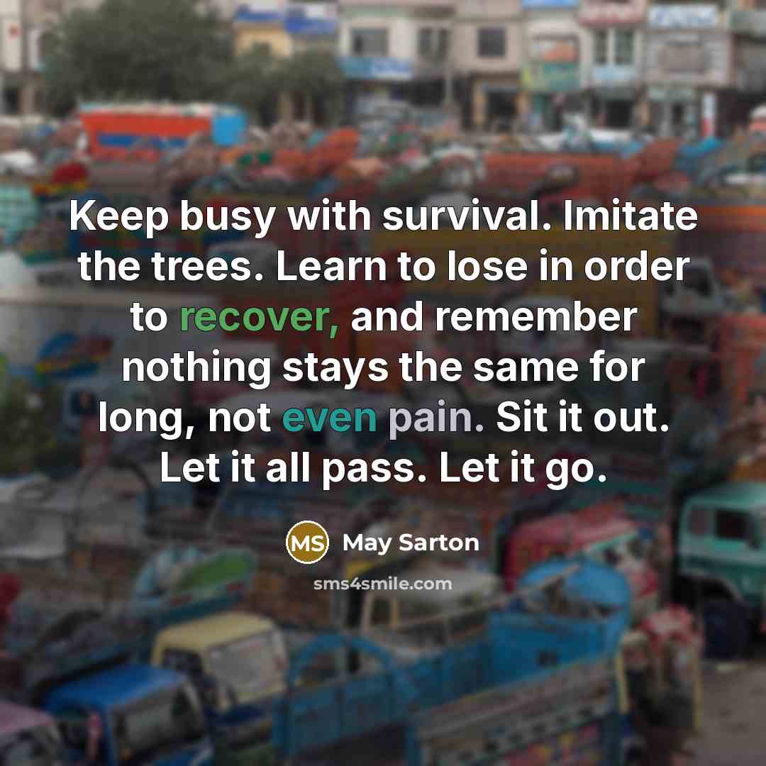 “Keep busy with survival. Imitate the trees. Learn to lose in order to recover, and remember nothing stays the same for long, not even pain. Sit it out. Let it all pass. Let it go.” quote by May Sarton