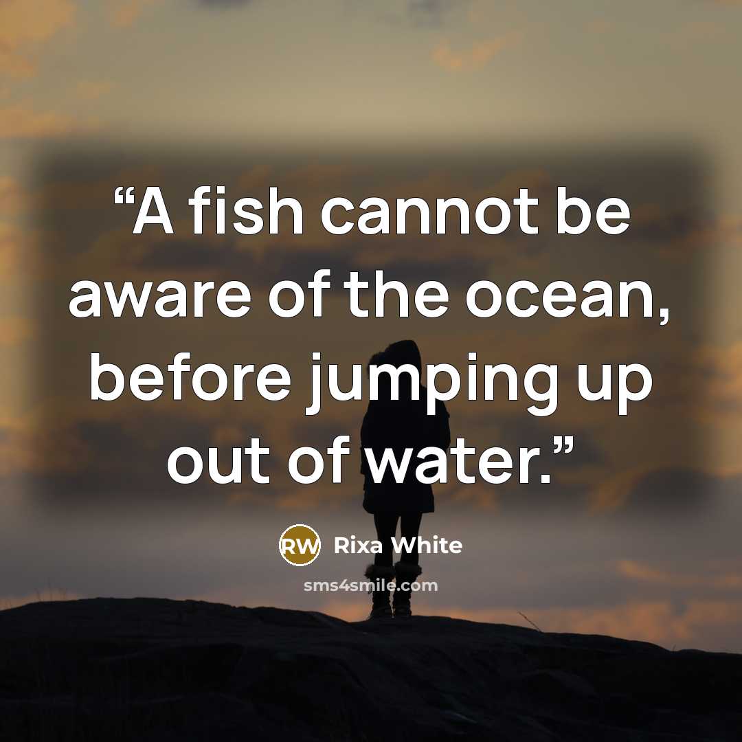 “A fish cannot be aware of the ocean, before jumping up out of water.” quote by Rixa White