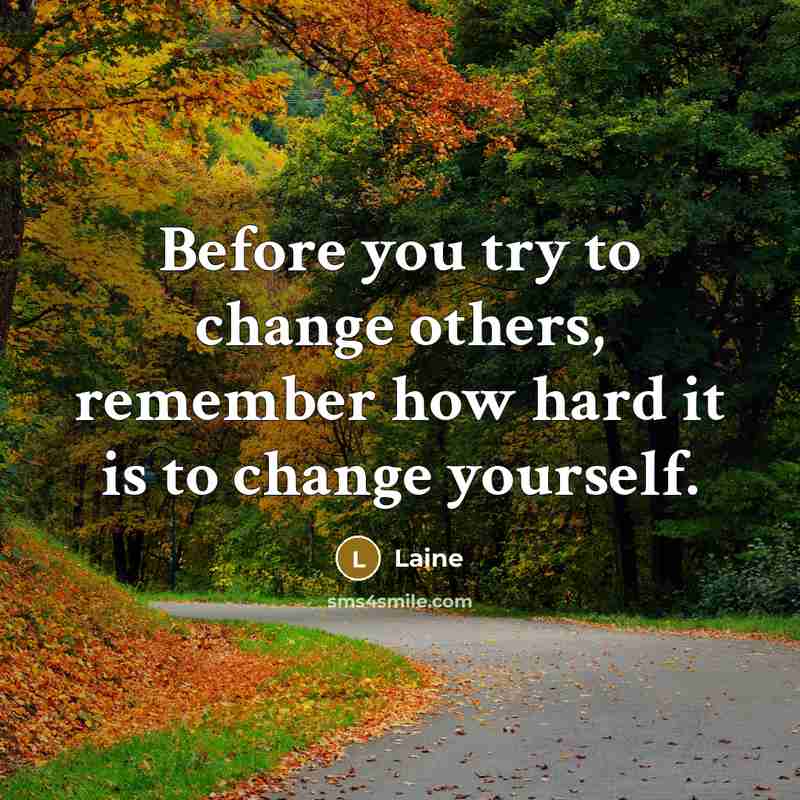 “Before you try to change others, remember how hard it is to change yourself.” quote by Laine